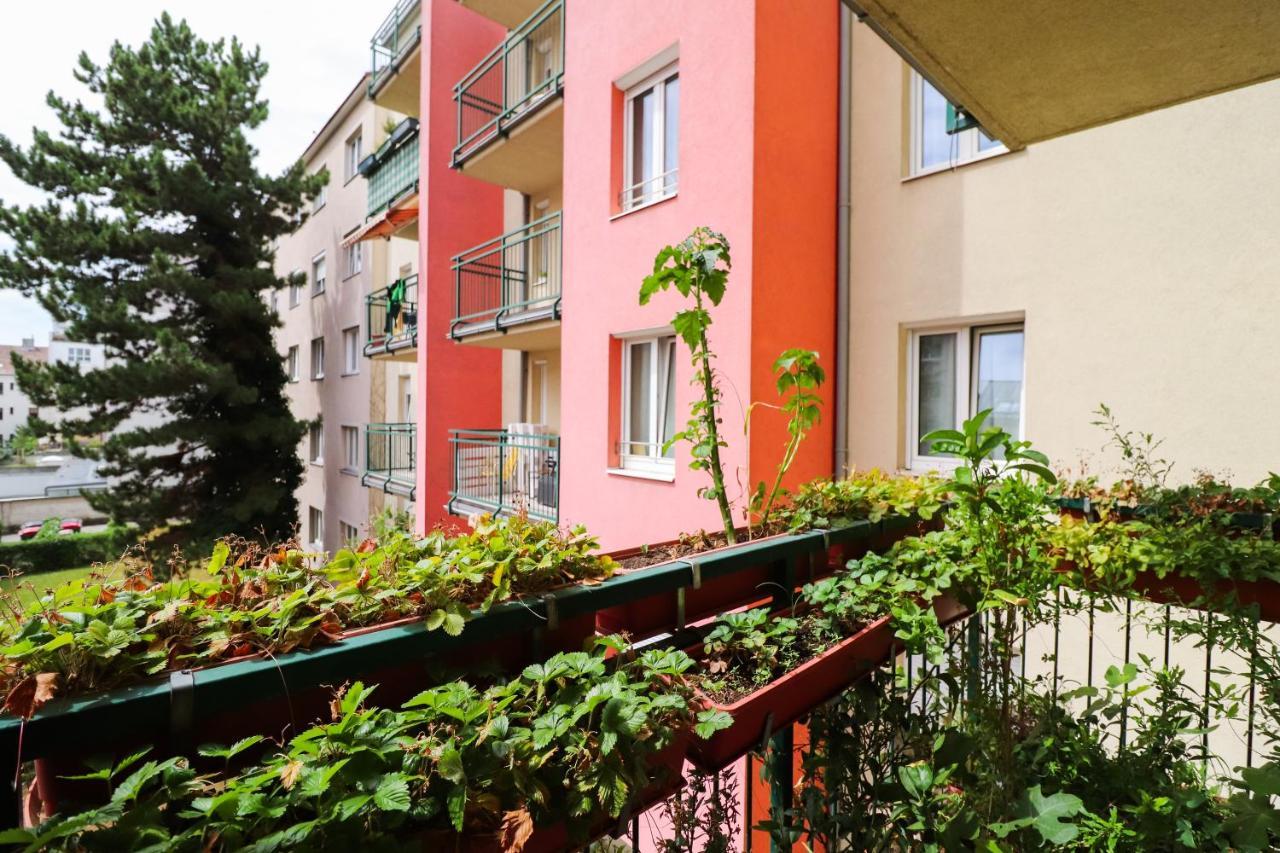 Cozynite Premium Apartment Schoenbrunn 2 비엔나 외부 사진